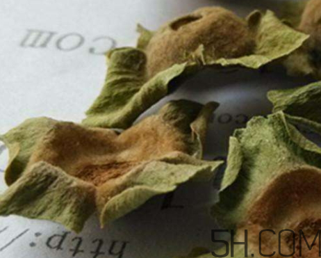 柿蒂治打嗝怎么煮水？柿蒂的功效與作用