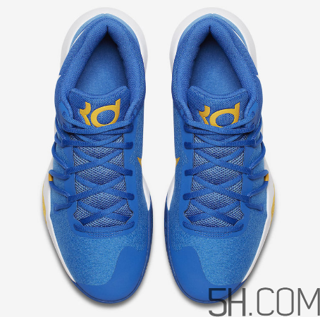 nike kd trey 5 v warriors勇士配色多少錢_在哪買？