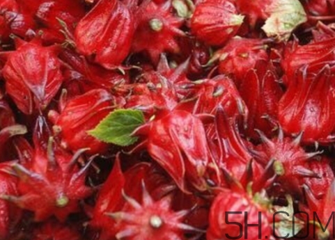 洛神果是什么？洛神果和洛神花區(qū)別