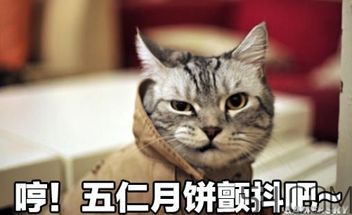 十仁月餅是哪十仁？十仁月餅好吃嗎