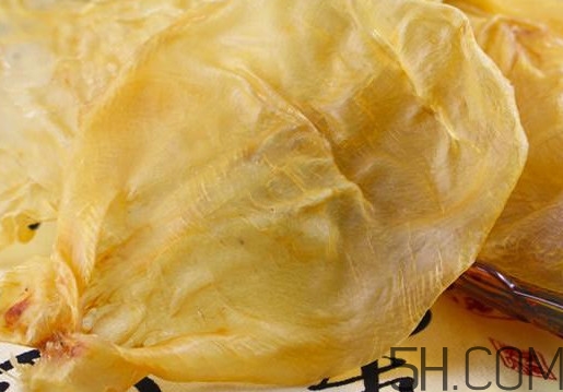 魚膠是魚泡嗎？魚膠是海鮮嗎