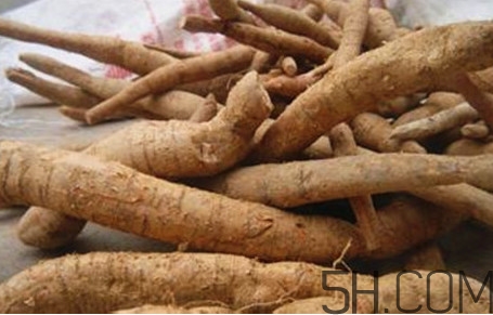 牛蒡用去皮嗎？牛蒡茶什么時候喝最好