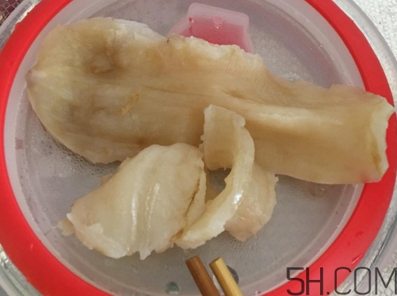 魚膠是魚泡嗎？魚膠是海鮮嗎