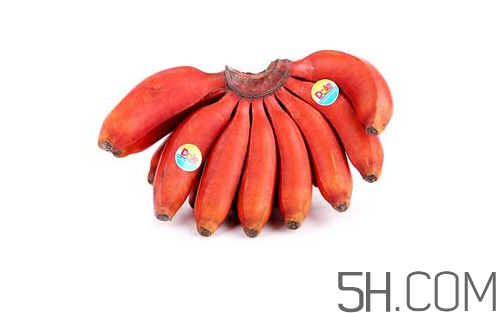 紅香蕉和普通香蕉的區(qū)別？香蕉可以放冰箱冷凍嗎？