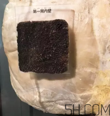 牛百葉和毛肚是一個東西嗎？牛百葉上面有層黑皮能吃嗎？