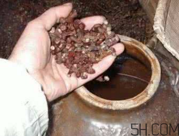拐棗能泡酒嗎？拐棗能和蜂糖一起泡酒嗎？