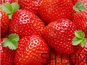 草莓都有哪些熱門品種？草莓怎么放不容易壞？