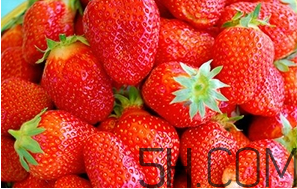 草莓都有哪些熱門品種？草莓怎么放不容易壞？