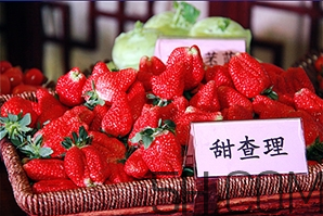 草莓都有哪些熱門品種？草莓怎么放不容易壞？