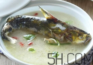 黃骨魚和鯽魚哪個(gè)好？黃骨魚和鯽魚的營養(yǎng)價(jià)值