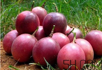 百香果幾月份的最好吃？百香果一次可以吃幾個(gè)？