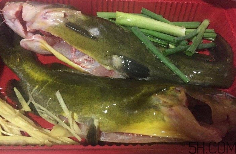 黃骨魚湯下奶嗎？黃骨魚湯的做法 