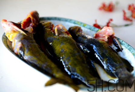 黃骨魚(yú)不能和什么一起吃？黃骨魚(yú)不適合什么人吃？