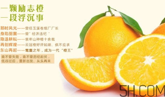 褚橙多少錢一斤？褚橙為什么這么貴