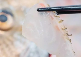 鯛魚怎么做？鯛魚是海魚還是淡水魚