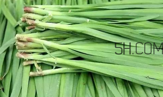 生蠔和韭菜一起吃有什么好處？吃韭菜的好處