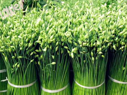 來(lái)月經(jīng)可以吃韭菜嗎？韭菜花的腌制方法