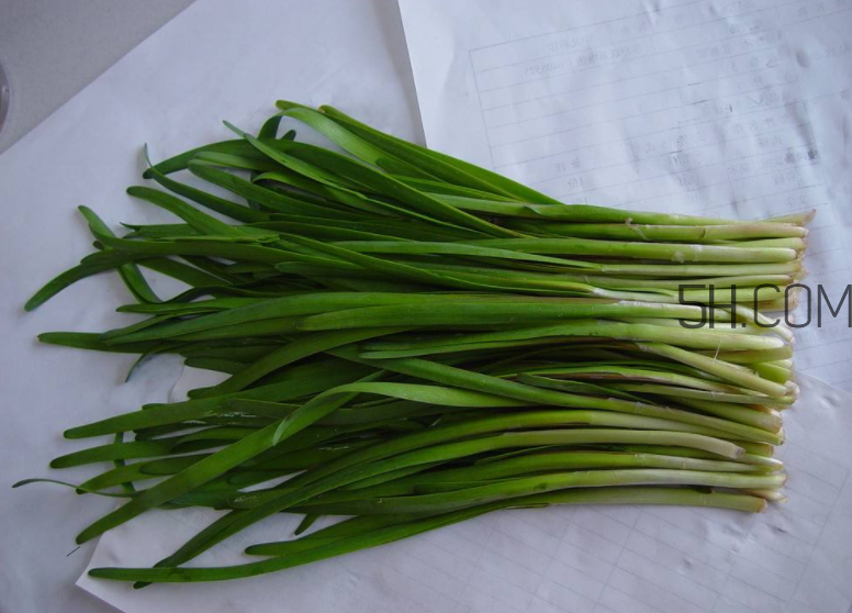 韭菜怎么保存？韭菜傷胃嗎？