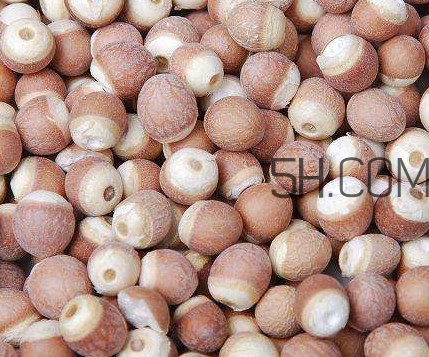 芡實是中藥嗎？芡實哪里可以買到