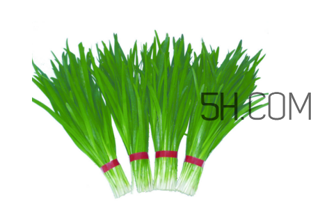 如何鑒別毒韭菜？吃野韭菜的營(yíng)養(yǎng)價(jià)值