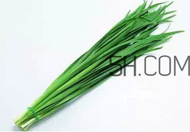 立秋后可以種韭菜嗎？怎樣種韭菜？