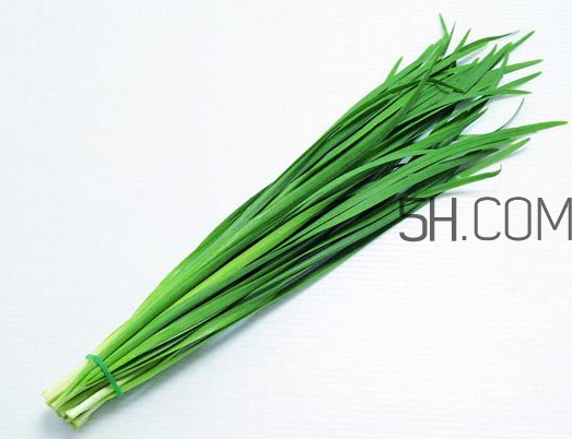 秋天吃韭菜好嗎？韭菜和莧菜能一起吃嗎？