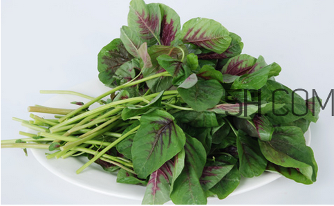 莧菜為什么是紅的？莧菜是涼性的嗎？