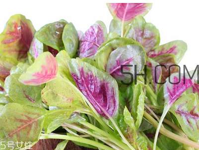 上火能吃咸莧菜嗎？寶寶能吃莧菜嗎？
