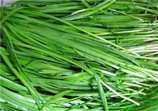 秋天吃韭菜好嗎？韭菜和莧菜能一起吃嗎？