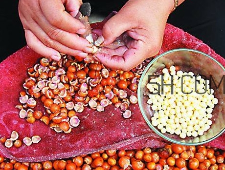 芡實有什么作用？芡實是哪里的特產