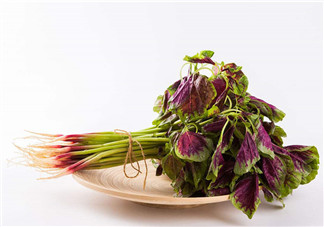 莧菜為什么是紅的？莧菜是涼性的嗎？