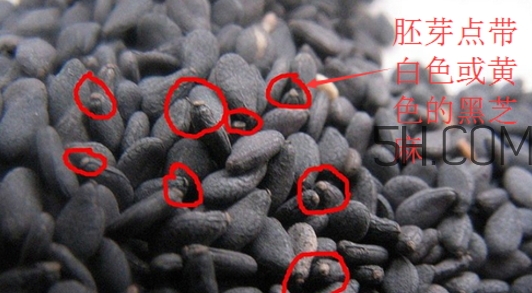 黑芝麻清洗掉色正常嗎？黑芝麻有黑色素嗎？