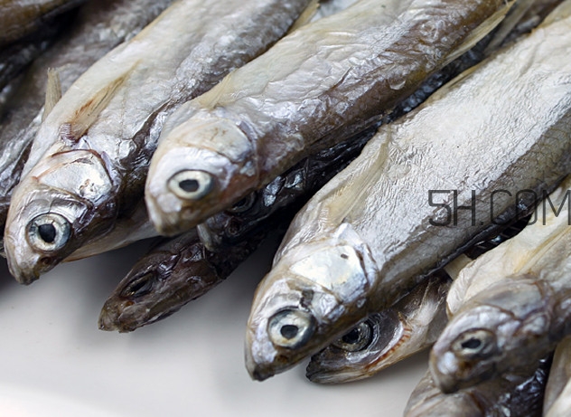 刁子魚是淡水魚嗎？刁子魚怎么釣