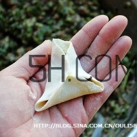 餃子和面用熱水還是冷水？餃子和面要醒多長(zhǎng)時(shí)間？