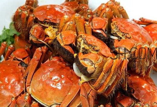孕婦吃螃蟹多久流產(chǎn)？孕婦吃多少螃蟹會流產(chǎn)？