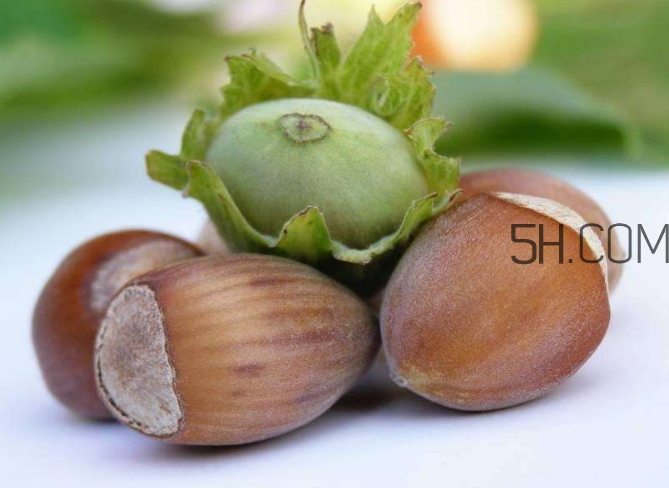 榛子生吃好還是熟吃好？榛子怎么吃營養(yǎng)價(jià)值高？