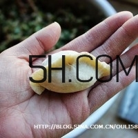 怎么包餃子快又好看？十種家常包餃子的方法~