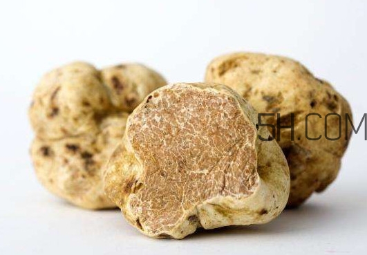 松露不能和什么一起吃？松露有毒嗎