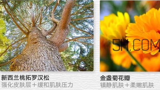the saem得鮮眼霜適合什么年齡？得鮮眼霜怎么樣？