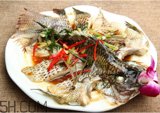 沒有魚刺的魚是哪種魚？如何挑選魚？