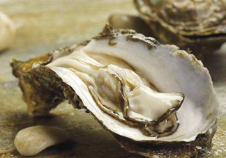 海蠣子是生蠔嗎？海蠣子和生蠔的區(qū)別