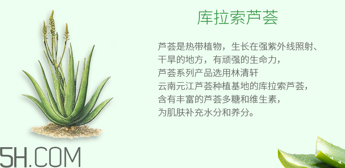 林清軒蘆薈面膜泥怎么樣？林清軒蘆薈面膜泥測評