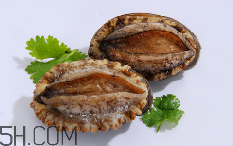 鮑魚(yú)吃了會(huì)上火嗎？鮑魚(yú)是發(fā)物嗎？