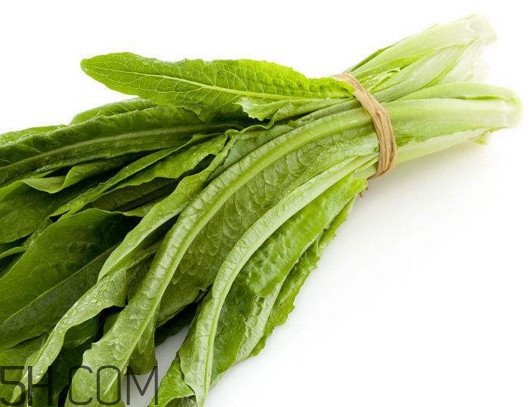 油麥菜怎么做好吃？油麥菜怎么種植