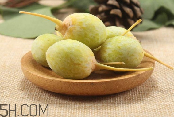 白果沒熟吃了會(huì)怎么樣？白果熟了是什么樣子的