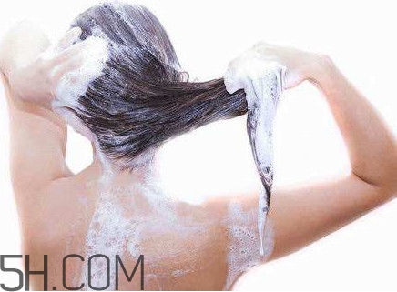 醋洗頭是白醋還是陳醋？用醋洗頭要用洗發(fā)水嗎？