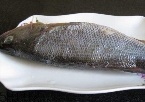 鮭魚是三文魚嗎？鮭魚的營養(yǎng)價值