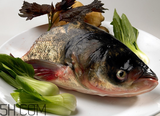 胖頭魚(yú)有什么營(yíng)養(yǎng)？胖頭魚(yú)是鰱魚(yú)嗎