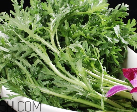 皇帝菜是什么樣子？皇帝菜又叫什么菜