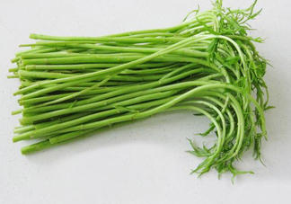 藜蒿多少錢一斤？藜蒿和蘆蒿是同一種菜嗎？